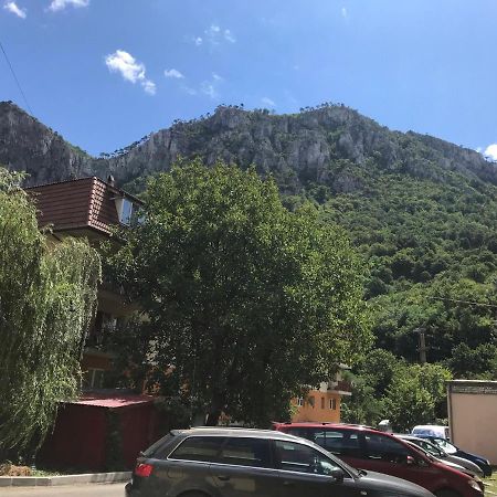 Apartament Eric_One Băile Herculane Zewnętrze zdjęcie